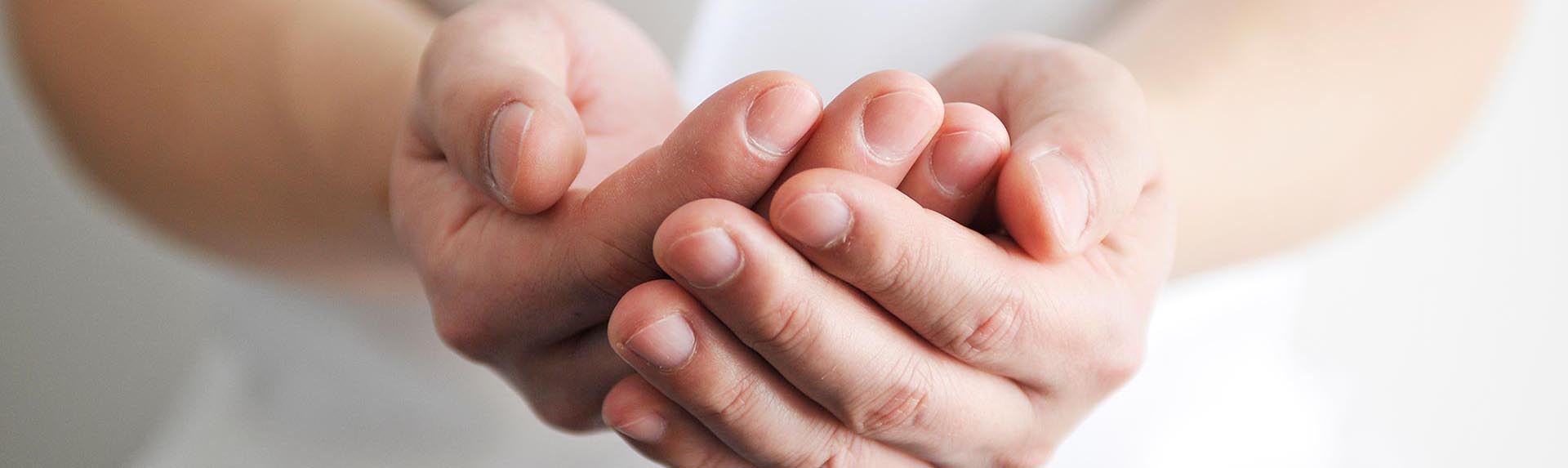 プロフェッショナル向け